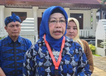 Dorong Pertumbuhan Ekonomi, Pemprov Banten Fasilitasi Digitalisasi UMKM