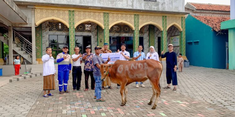 Komitmen Salurkan CSR, PT Gandasari Group Investama Salurkan Hewan Kurban