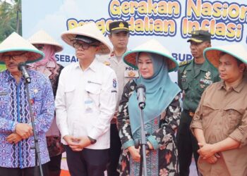 Pemkab dan BI jadikan Pandeglang Sentra Bawang Merah dan Cabai