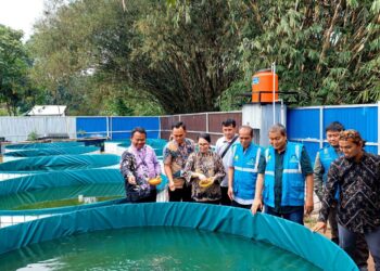 PLN Peduli Berikan Pelatihan Olahan dan Budidaya Ikan di Kabupaten Tangerang