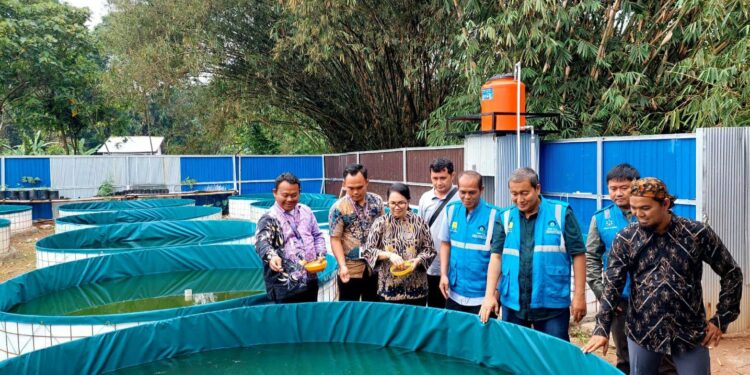 PLN Peduli Berikan Pelatihan Olahan dan Budidaya Ikan di Kabupaten Tangerang