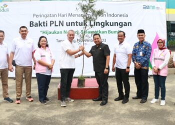 Berkontribusi di Sektor Lingkungan, PLN Tanam 283.739 Pohon Sepanjang 2023