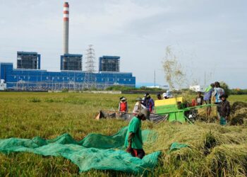 PLN Sukses Turunkan Tingkat Risiko ESG