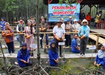 Pj Gubernur Banten Tanam Mangrove di Teluk Banten