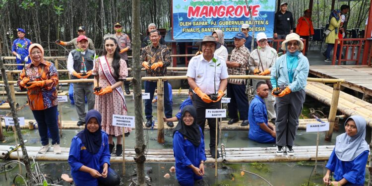 Pj Gubernur Banten Tanam Mangrove di Teluk Banten