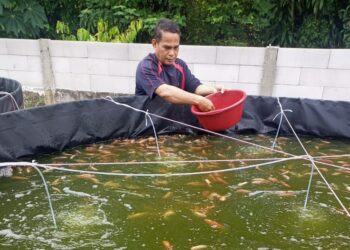 Memanfaatkan Lahan Untuk Ketahanan Pangan