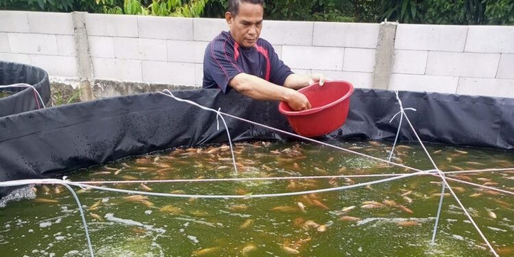 Memanfaatkan Lahan Untuk Ketahanan Pangan