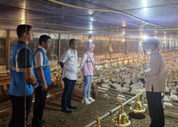 Angka Kematian Hewan Turun Signifikan, Srikandi Banten Ajak Peternak Beralih ke Listrik PLN