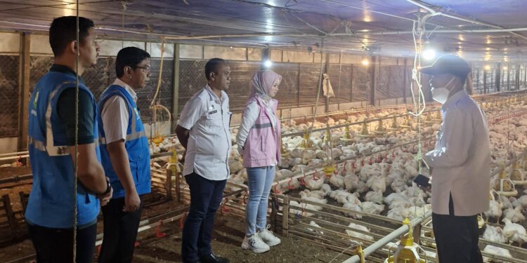 Angka Kematian Hewan Turun Signifikan, Srikandi Banten Ajak Peternak Beralih ke Listrik PLN
