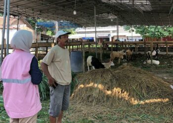 Jelang Hari Raya Idul Adha, PLN Siap Layani Kebutuhan Penerangan Sementara Pelanggan