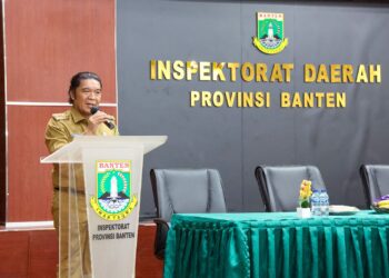 Tingkatkan Pengawasan dan Pengendalian, Pj Gubernur Al Muktabar Ajak Semua Pemda Perkuat Kolaborasi