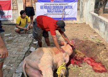 BEM Banten Bersatu Serahkan Daging Hewan Qurban ke masyarakat, Wujud Nyata Mahasiswa Dekat dengan Rakyat