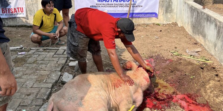 BEM Banten Bersatu Serahkan Daging Hewan Qurban ke masyarakat, Wujud Nyata Mahasiswa Dekat dengan Rakyat