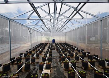 Inovasi Pertanian Lapas Bajar  Realisasikan Program Sistem Polibag Di Dalam Green House