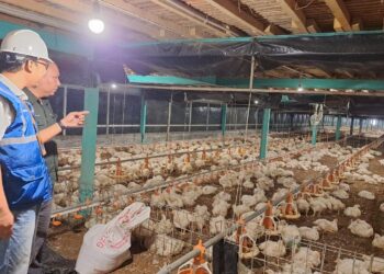 Pemerintah Jaga Tarif Listrik Tetap Terjangkau Sepanjang 2025